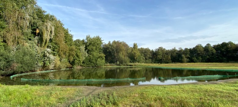 Gänseteich Barrelpäule