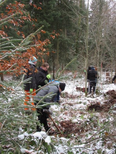 Rund 100 Bäume pflanzten Schülerinnen und Schüler der Gesamtschule an der Ahornallee in einem Waldstück bei Verl. 