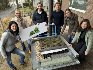 Gruppenbild Grün sucht Dach